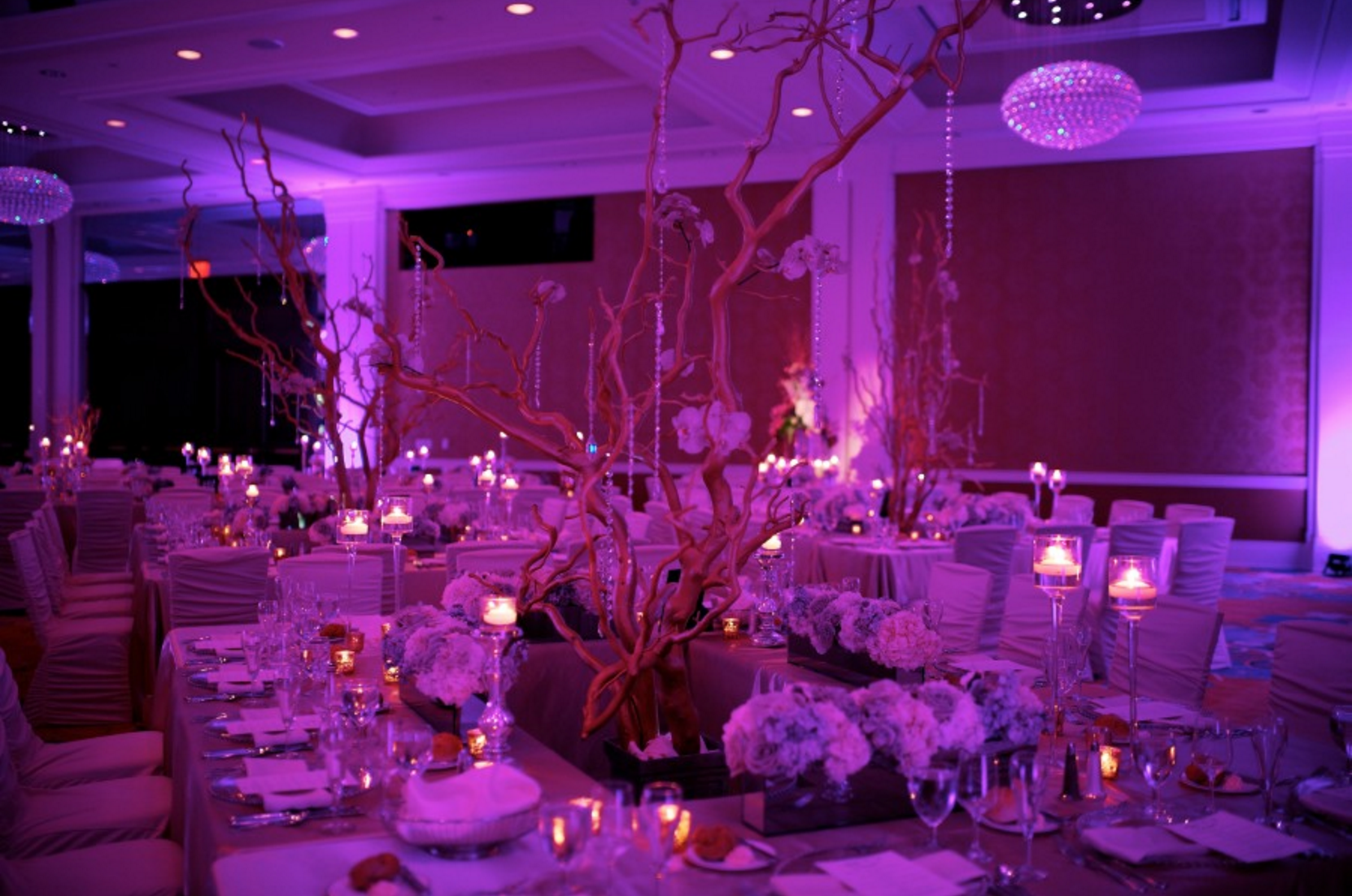 Grand Rapids, Michigan Elegant Wedding Reception with Luxury Decor