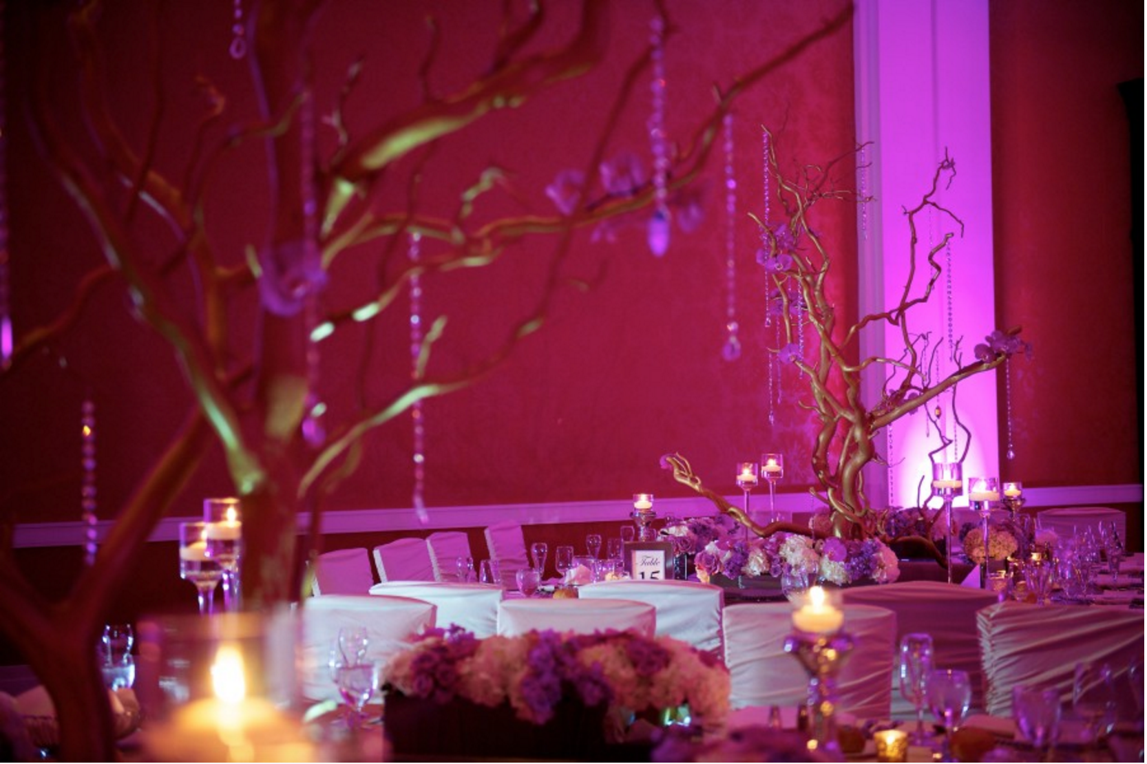 Grand Rapids, Michigan Wedding with Manzanita Branches