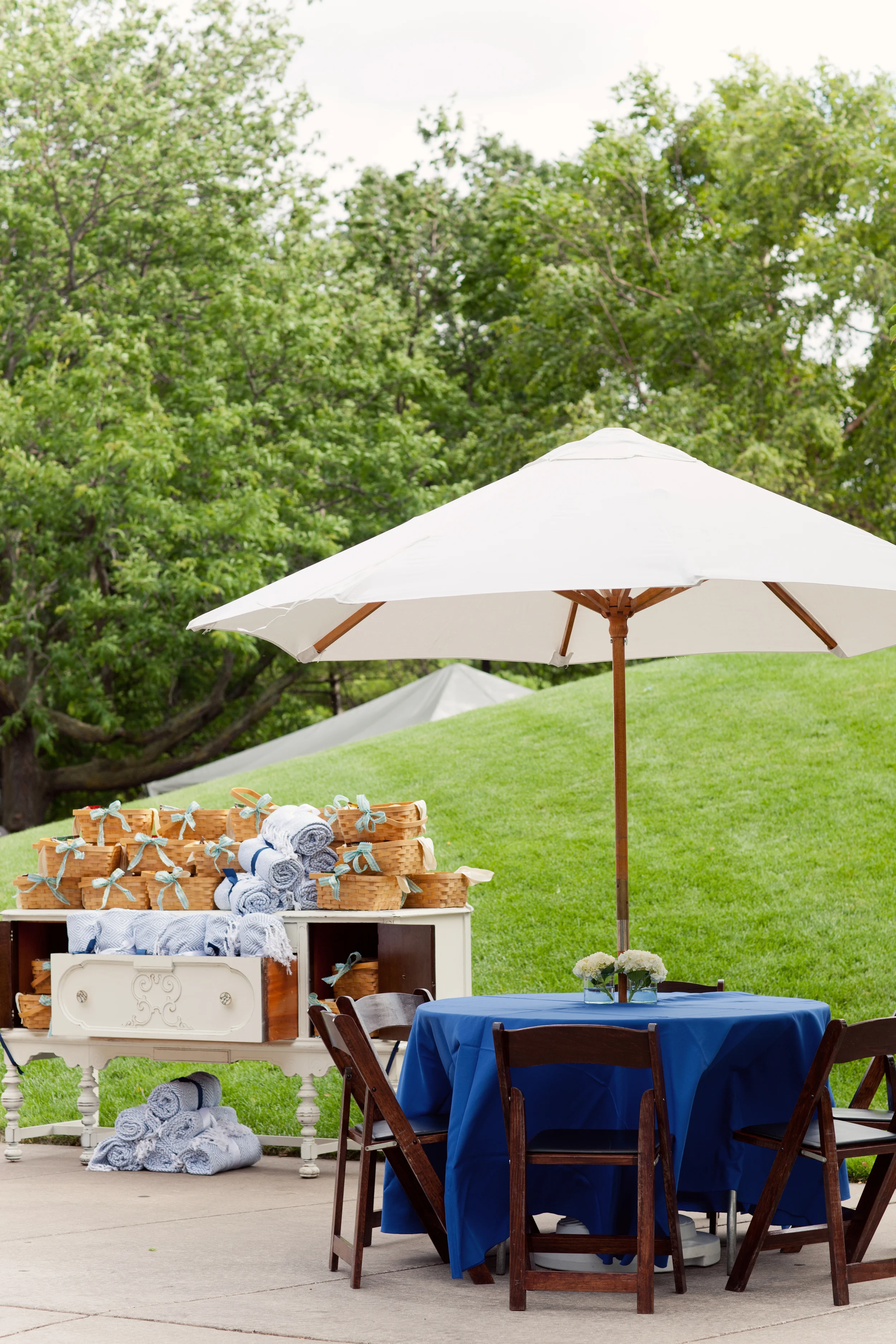 Grand Rapids, Michigan Park Event with Vintage Rental Furniture