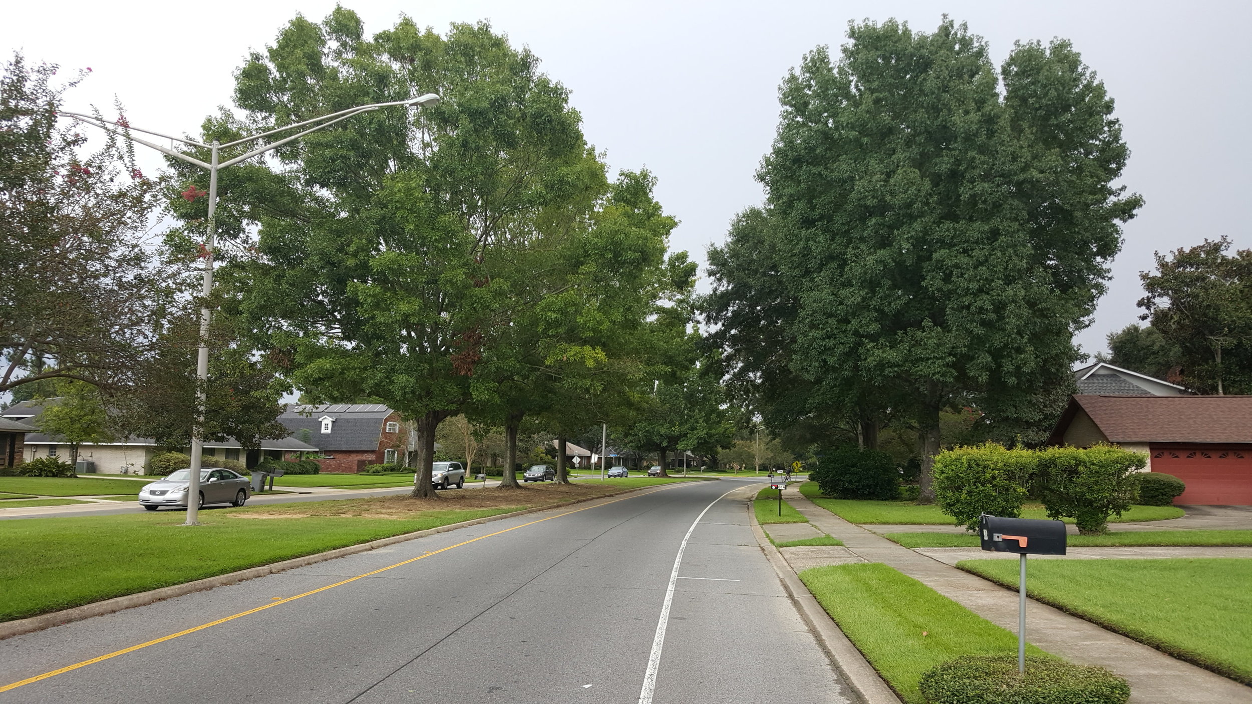Kenilworth Bike Lanes