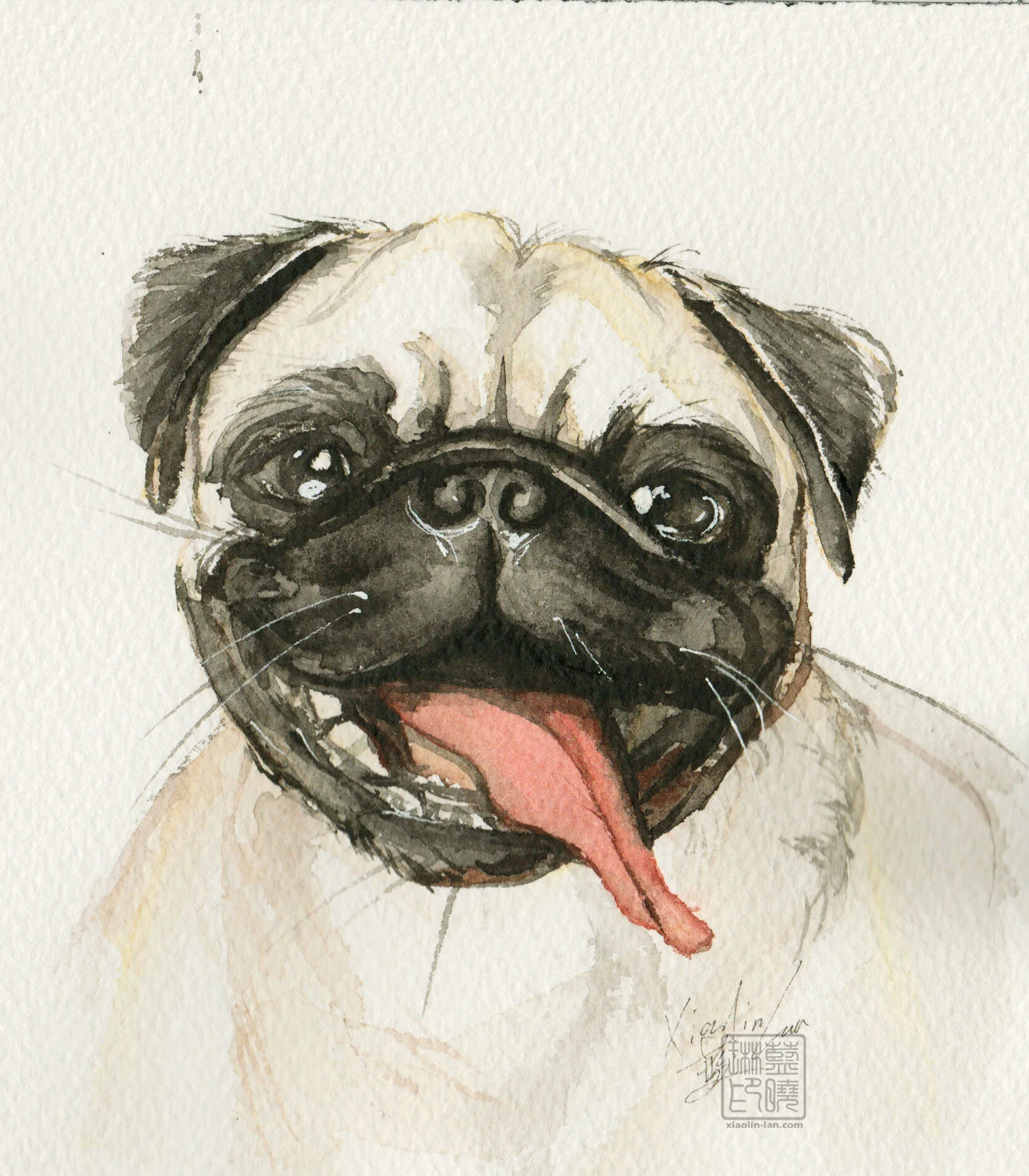 pug.JPG