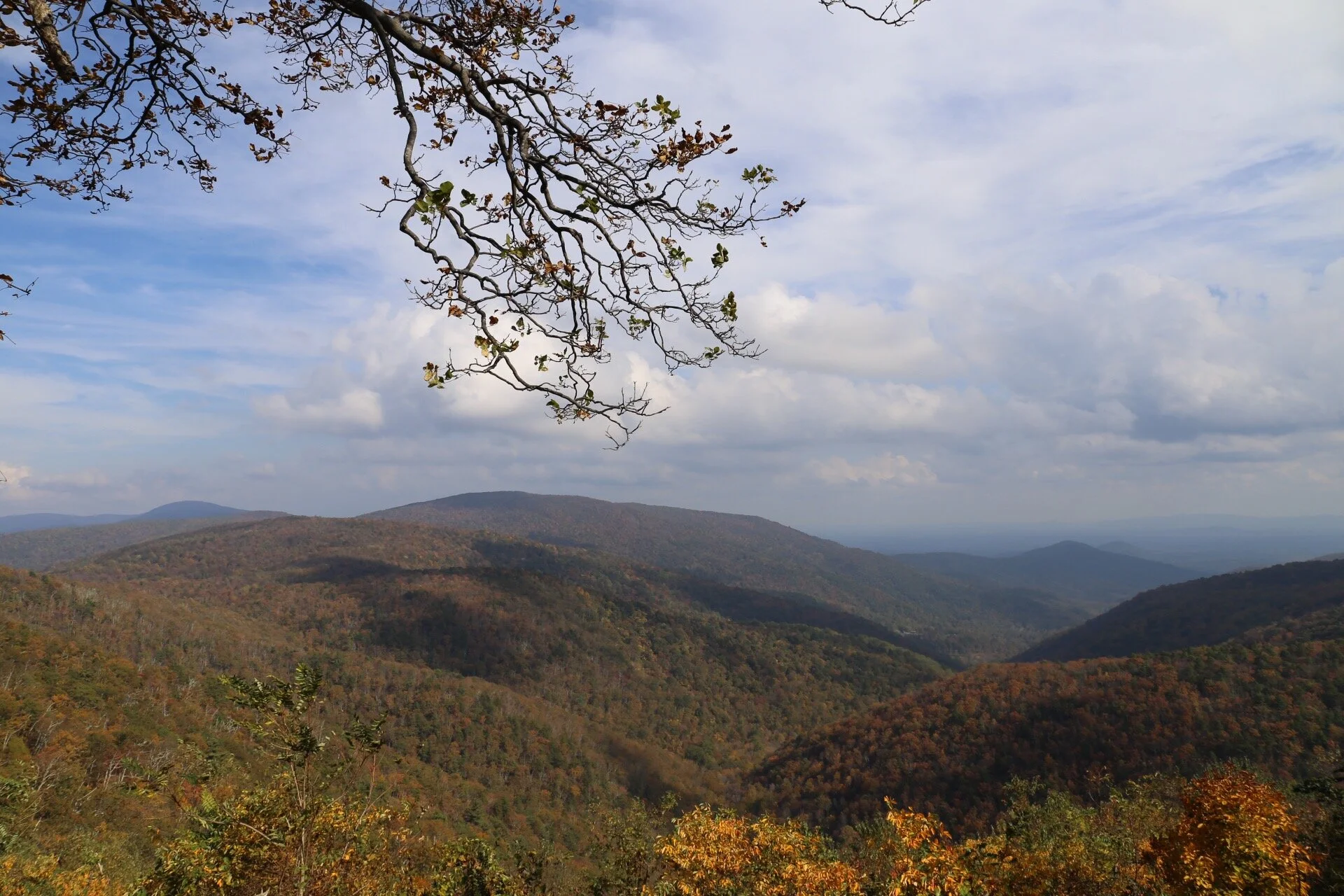IMG_3278.JPG
