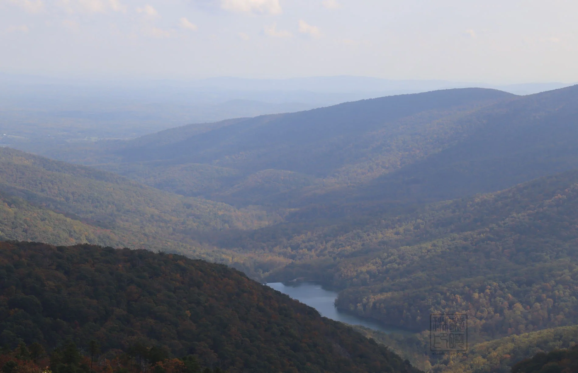 IMG_3319 copy.jpg