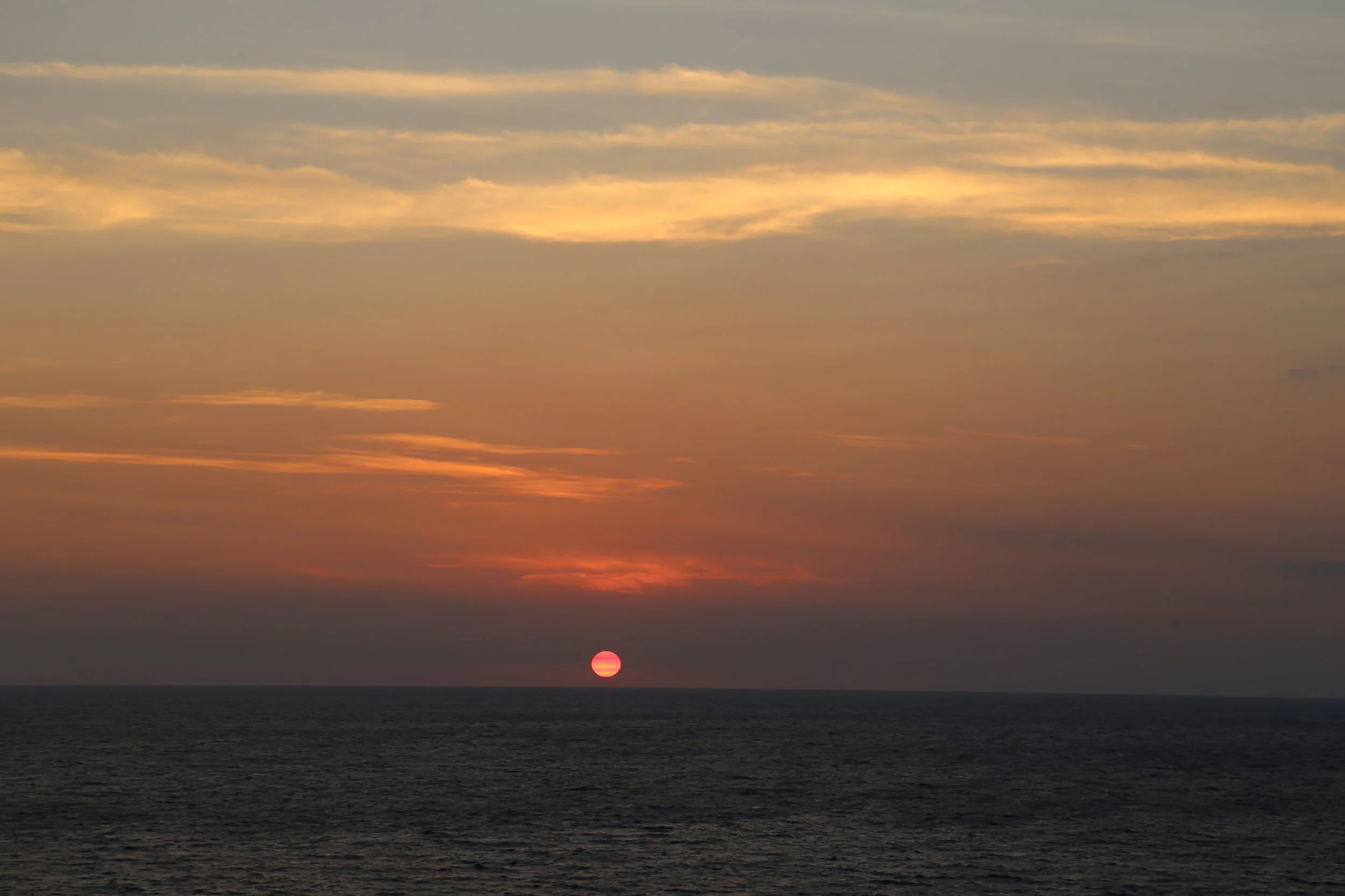 IMG_1316.JPG