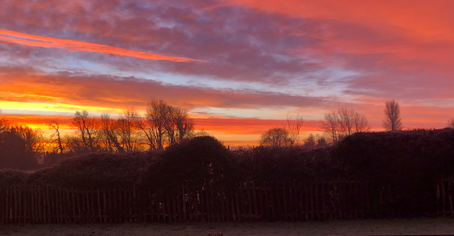 Screenshot 2026-01-15 at 16.13.37.png