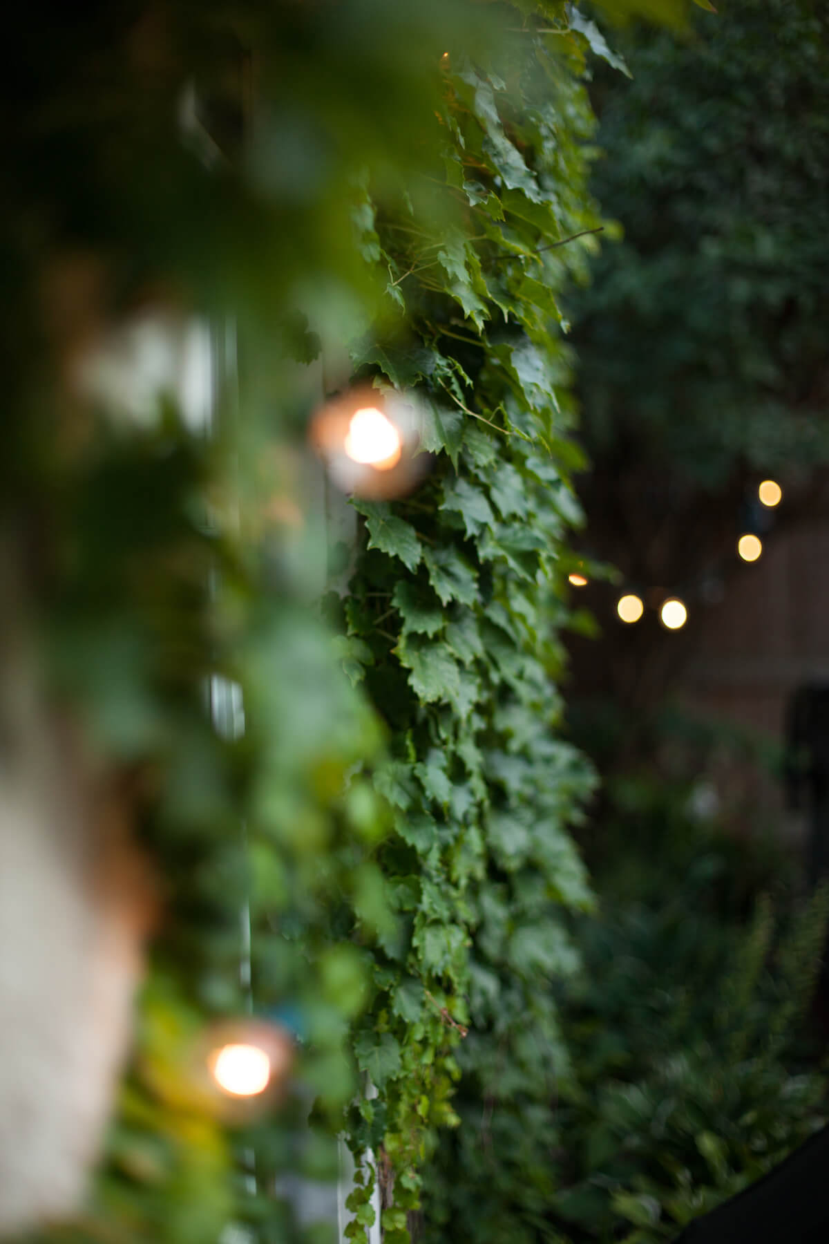 engle-olson-engagement-photos-7.jpg