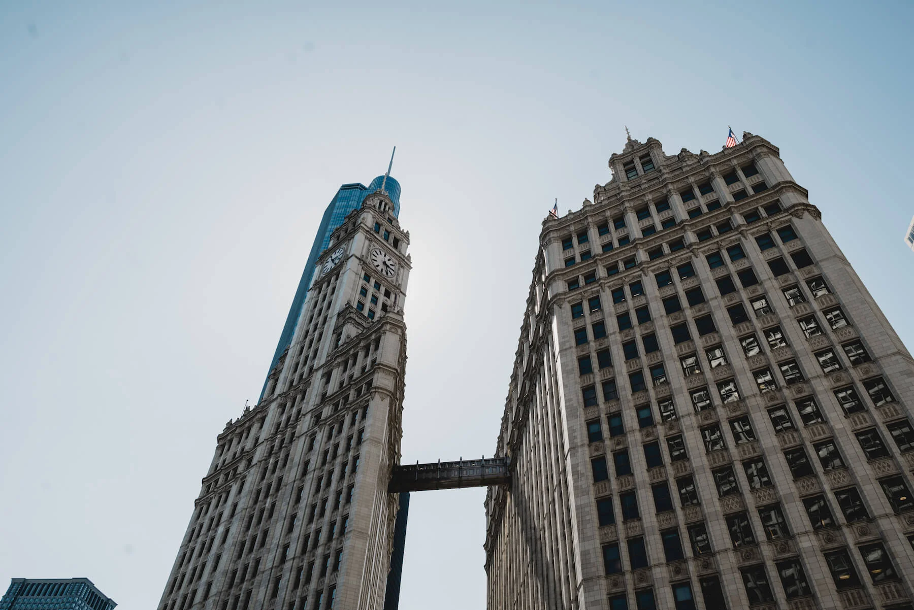 engle-olson-chicago-family-reunion-18.jpg