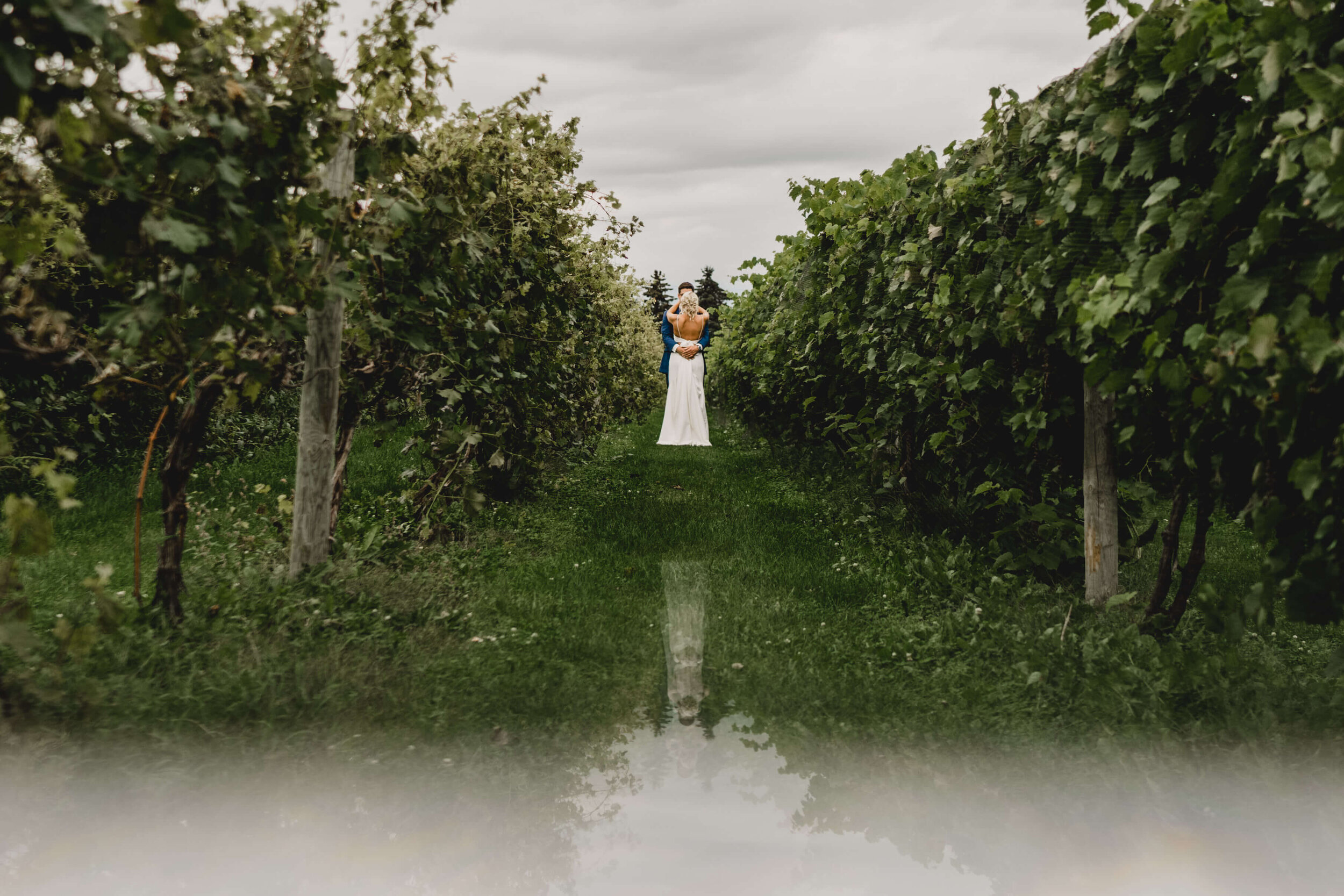 engle-olson-wedding-winery-bride-groom-11.jpg
