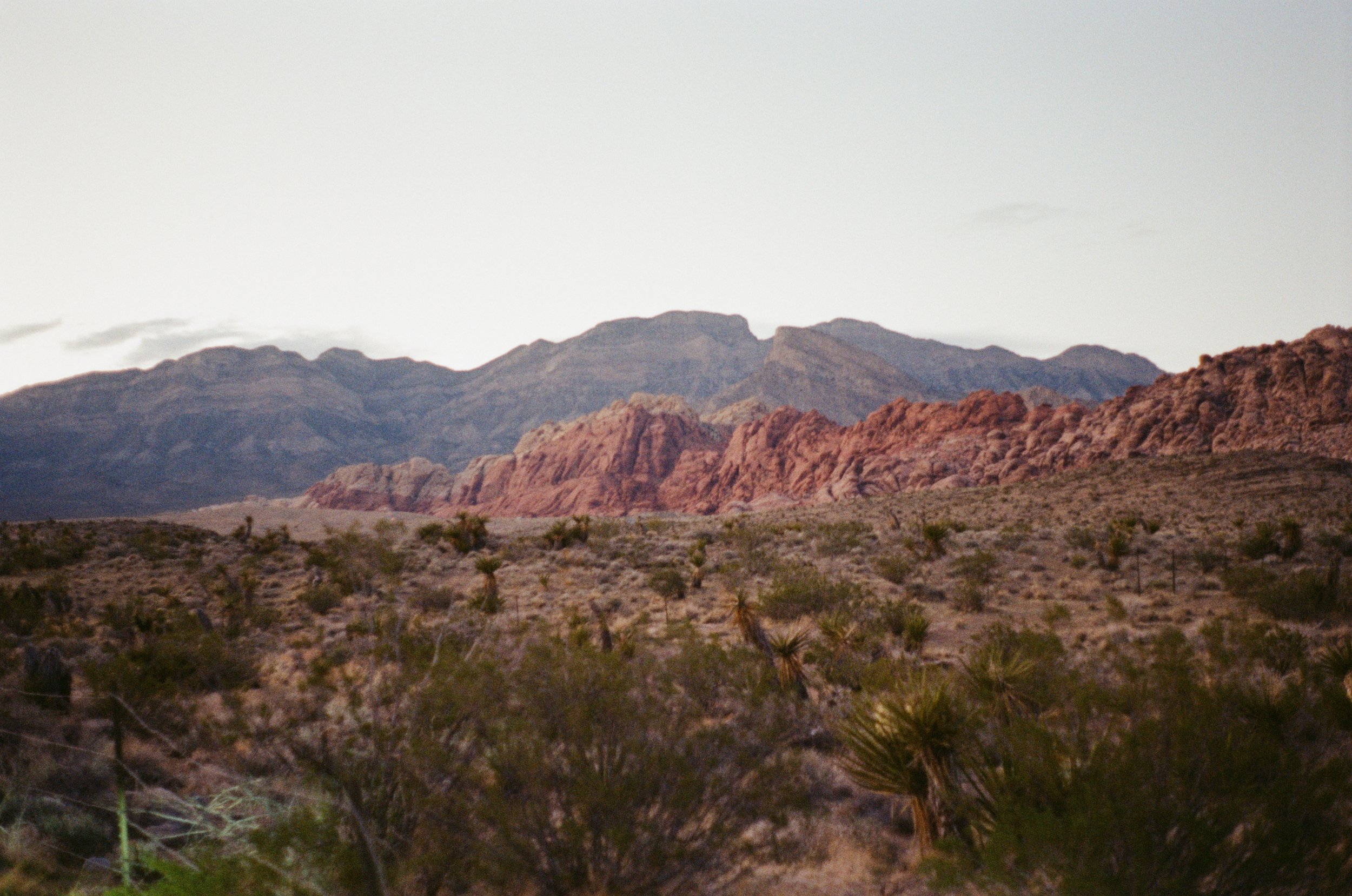 engle-olson-linnea-joe-las-vegas-wedding-35mm-film-8.jpg