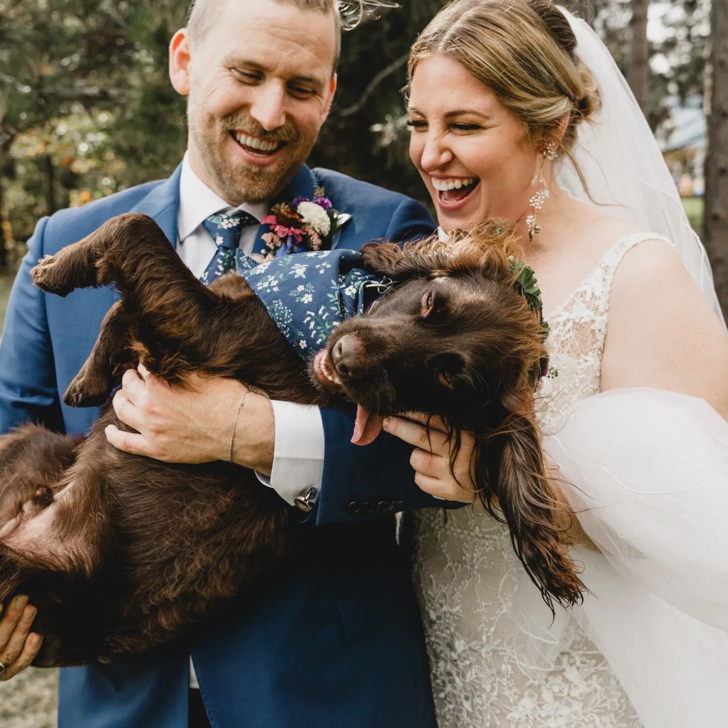 Caitlin + Jamie 🤍

. vendors .⁠
couple: @cee_bee19 + @jamjamsgrams⁠
photo + video: @engleolson⁠
dress: @aandbe_mpls @madilanebridal⁠
alterations: @evermoreweddinggowncare⁠
suit: @mrbclothing⁠
hair: @erikairenenash⁠
make-up: @jenna_sais_coif⁠
lashes: