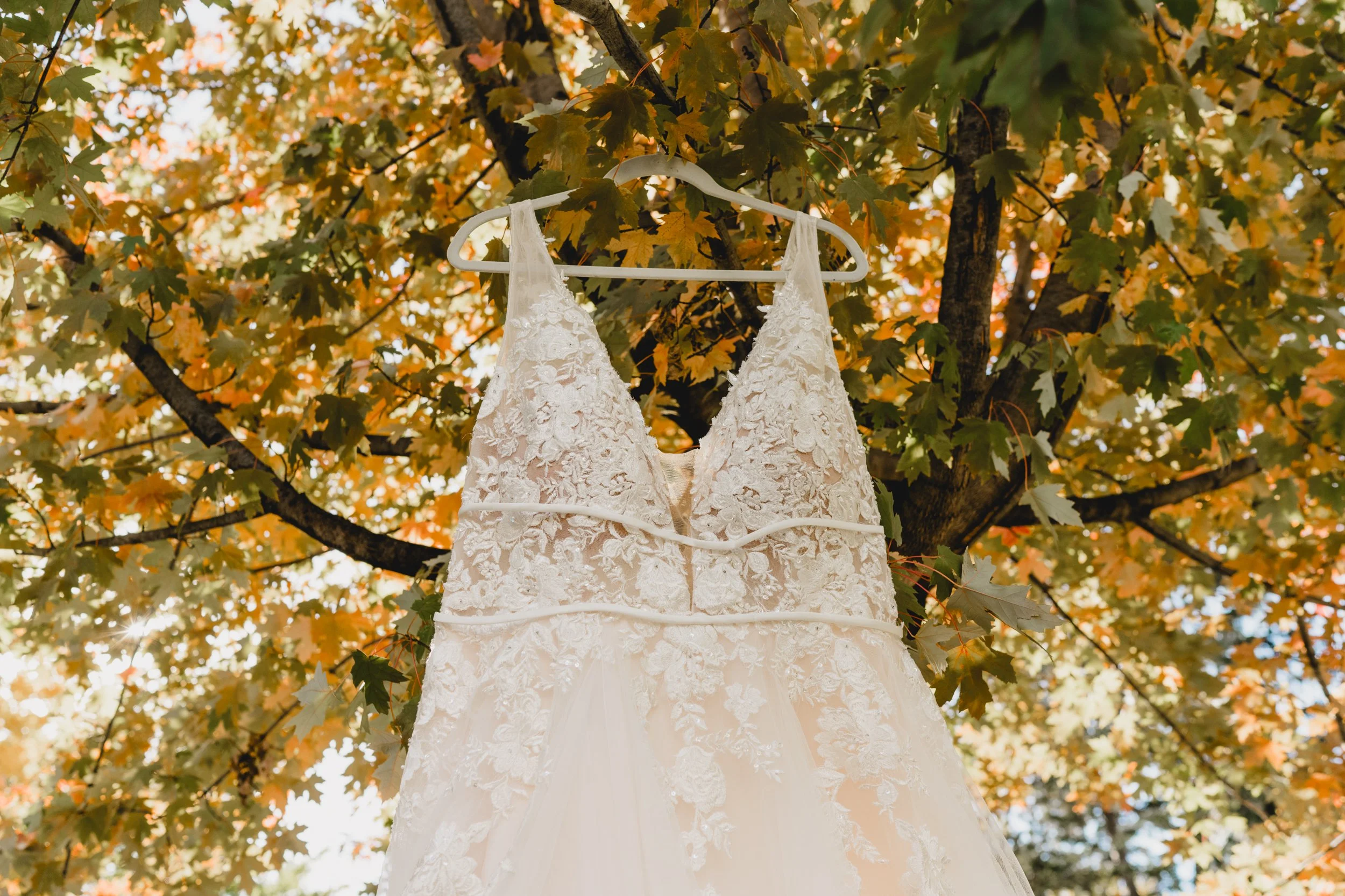 engle-olson-kayla-eric-wedding-previews- (2 of 54).jpg