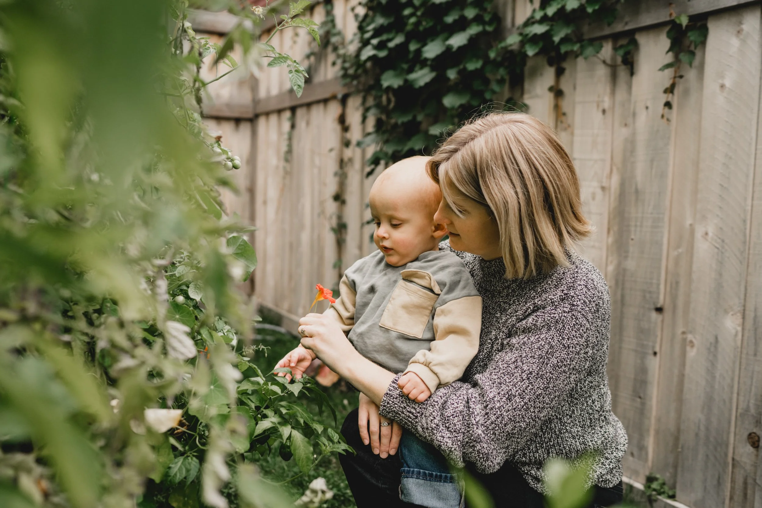 engle-olson-cauchy-family-session-previews- (21 of 21).jpg