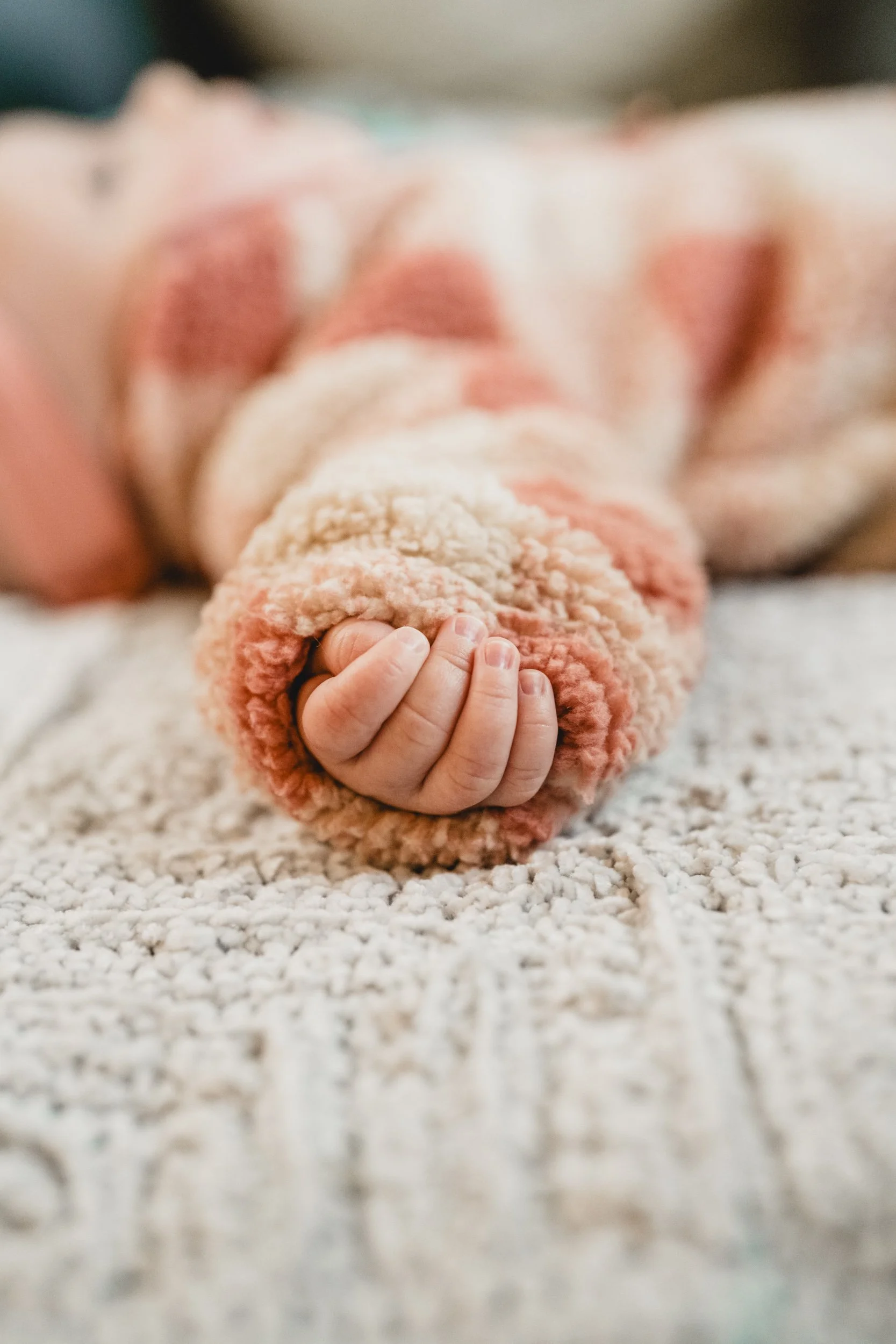 engle-olson-jenquist-family-session-previews- (3 of 18).jpg