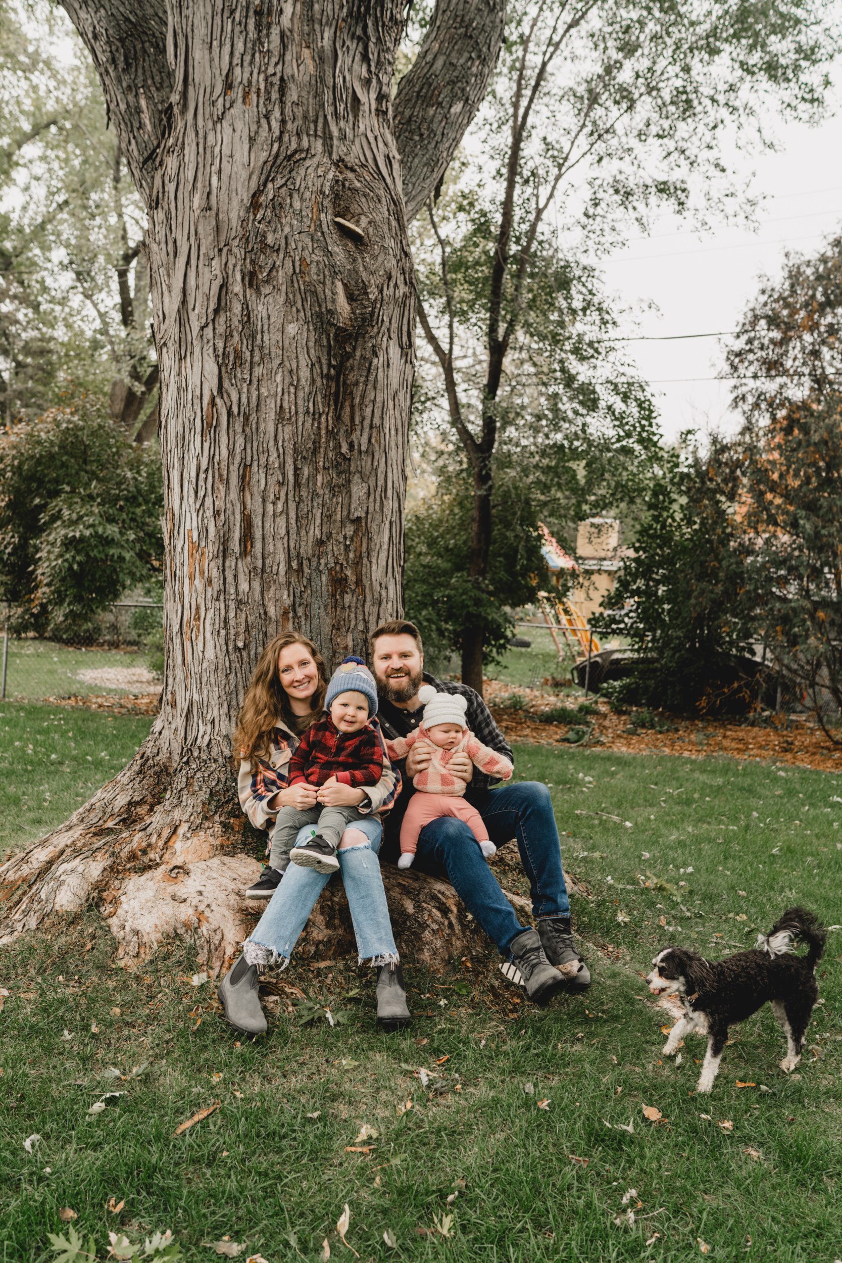 engle-olson-jenquist-family-session-previews- (14 of 18).jpg