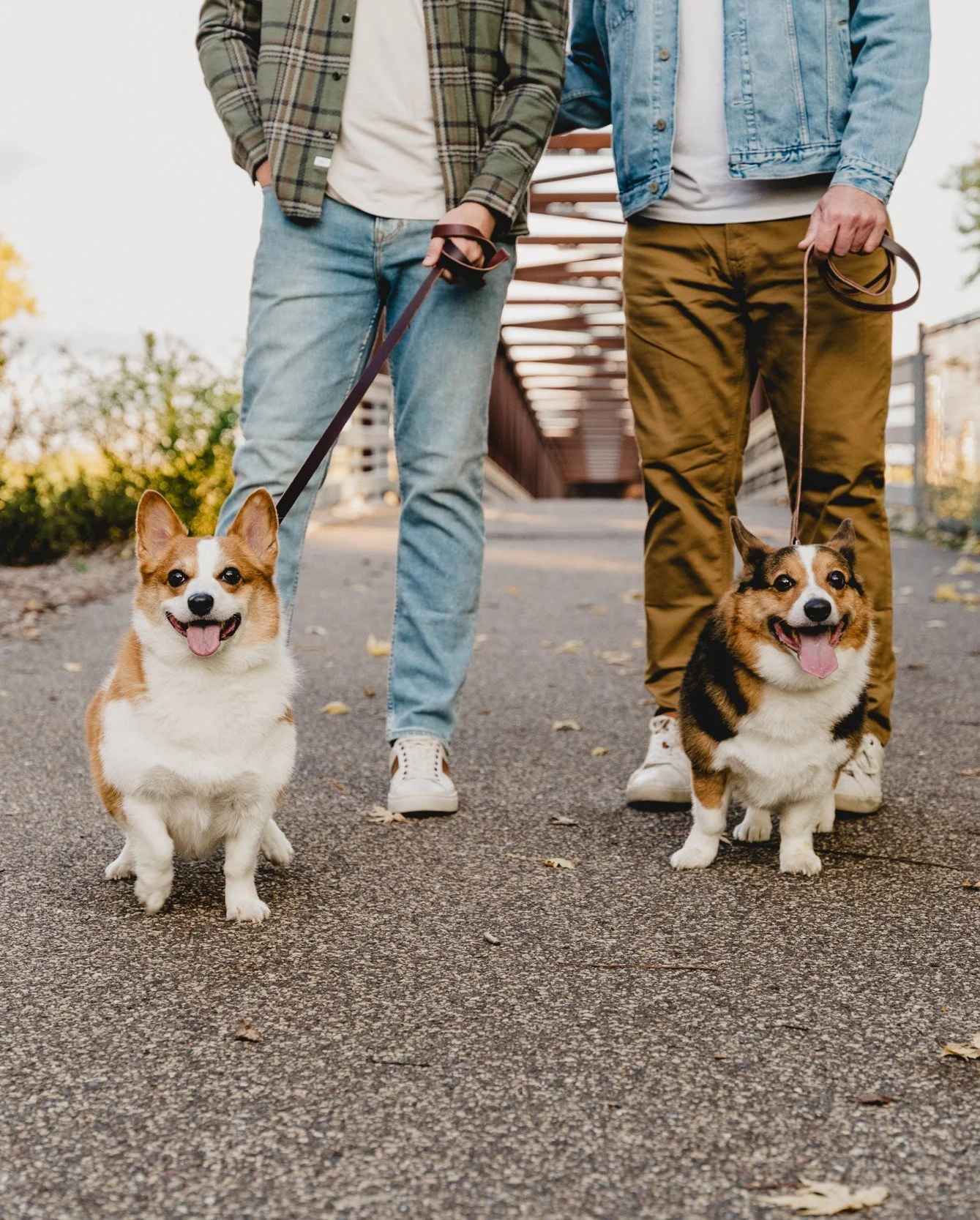 When family sessions include the fur babes 😍😍😍

Family is whatever that means to you. And we absolutely love when that includes your pets! Enjoy handful of snaps from Alex + Cole's cute little St. Paul session.

If you're looking for family pics, 