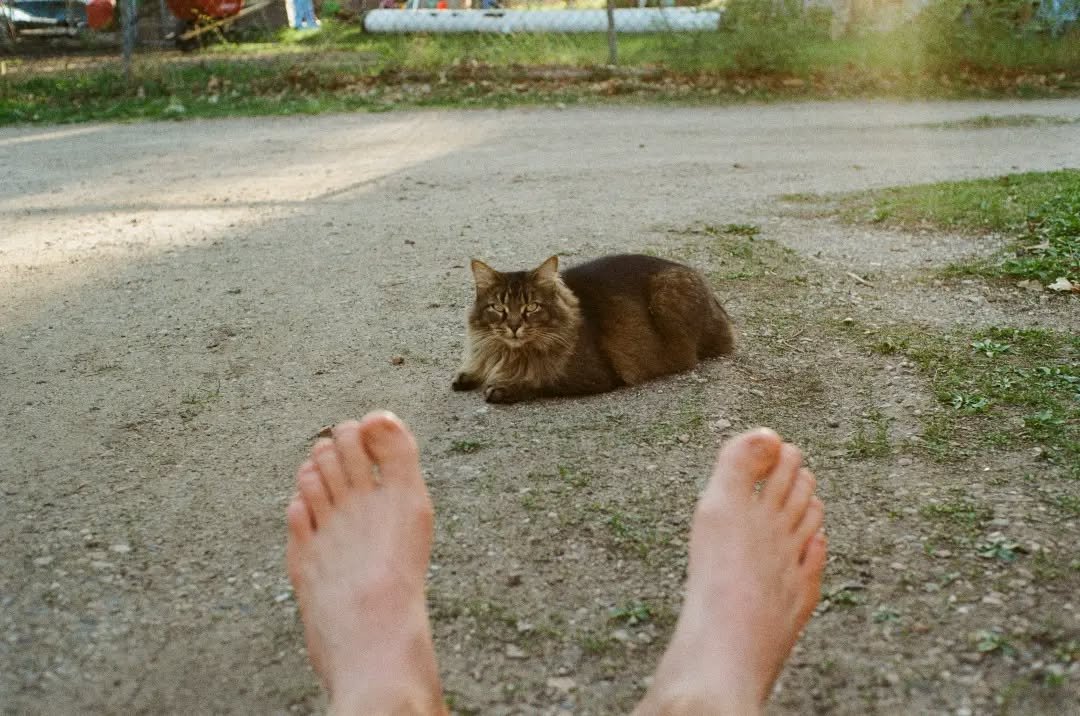 🦶🏼😺🦶🏼⁠
⁠
Malone shot on film. ⁠
#filmisnotdead #engleolson #pentaxk1000