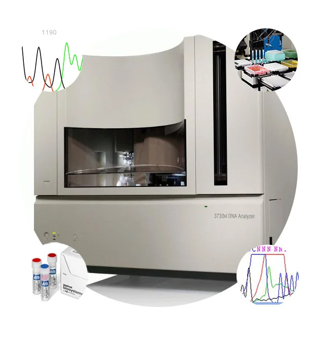 sequencing Clean up.jpg