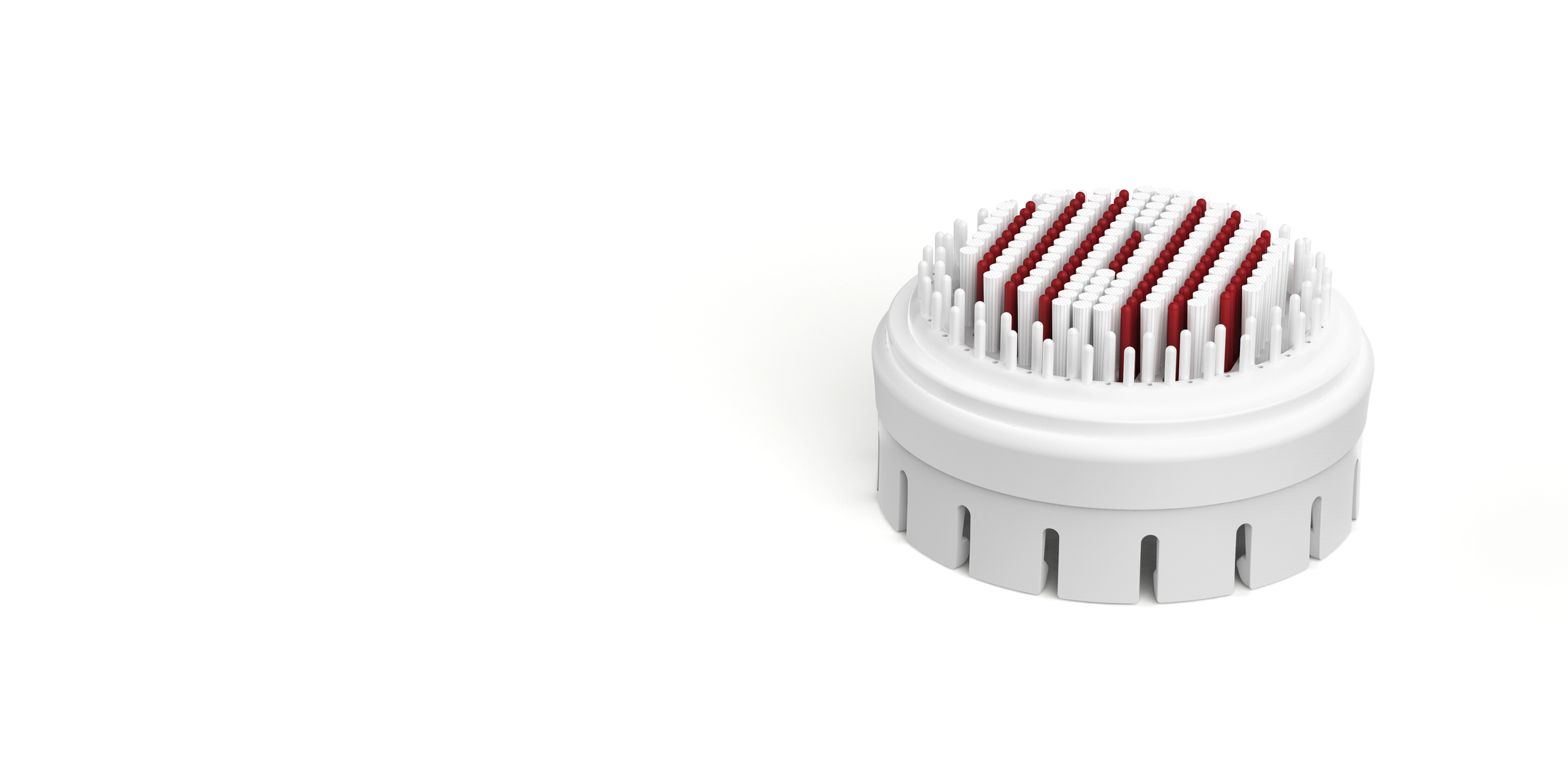 singlebrush.jpg