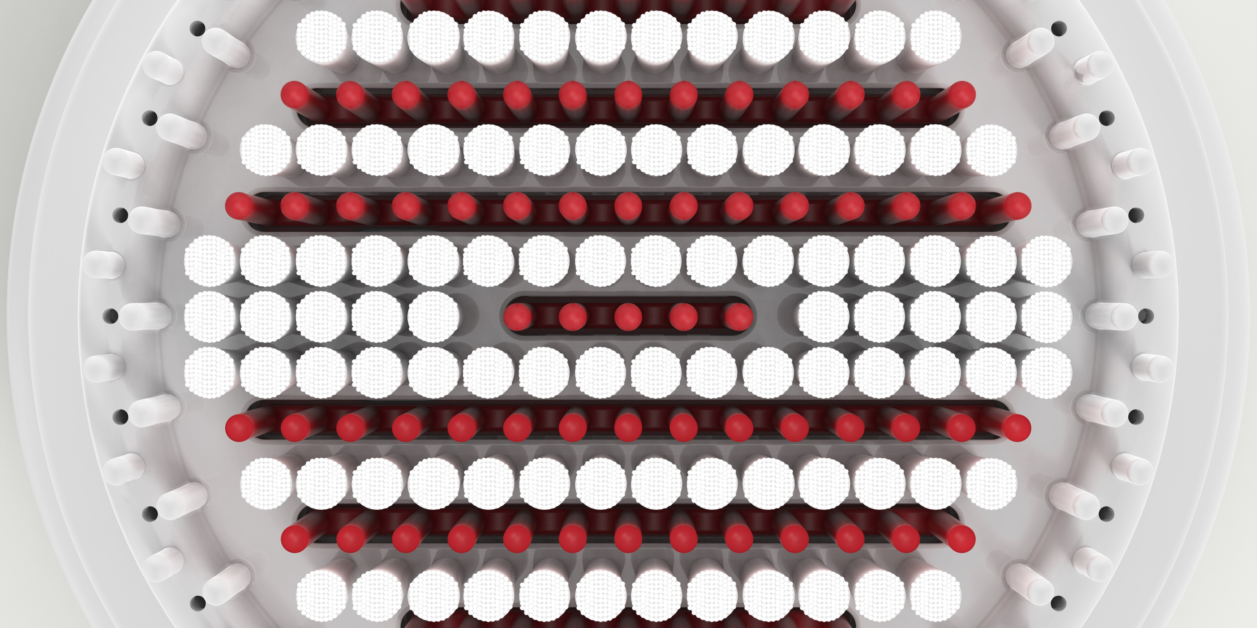 CleansingCloseUp.jpg
