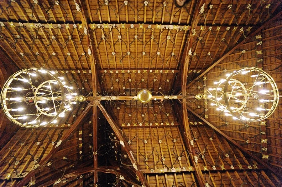 AnyaScott_249.jpg