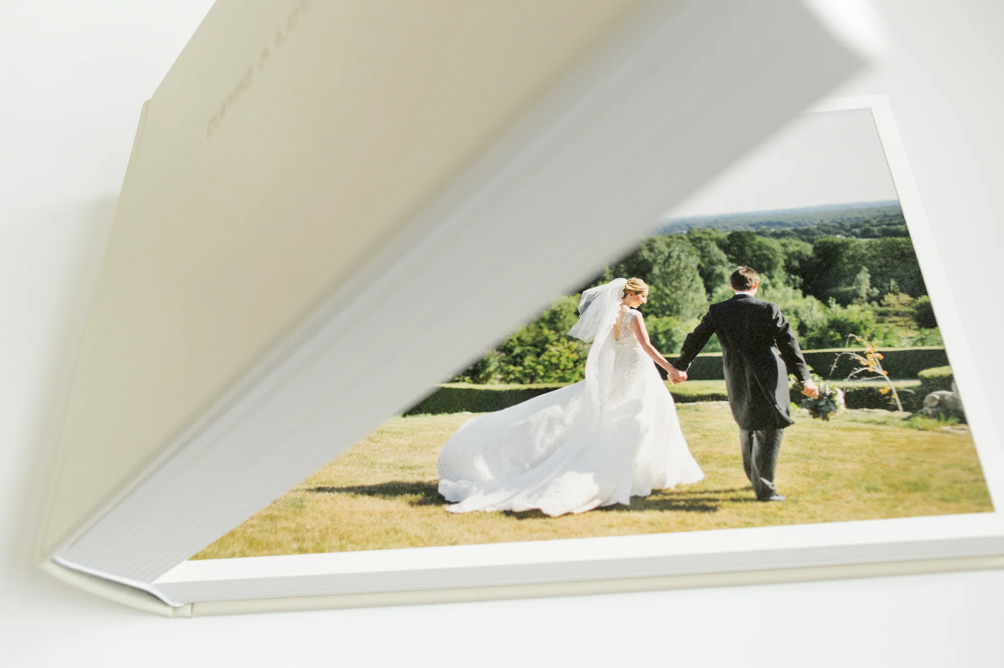 Louisa Jane + David 14" x 10" Eggshell Microleather Overlay album