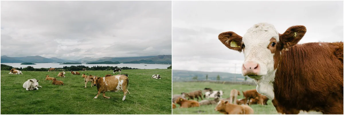 Zoe and Connor wedding at Ardoch House Scotland
