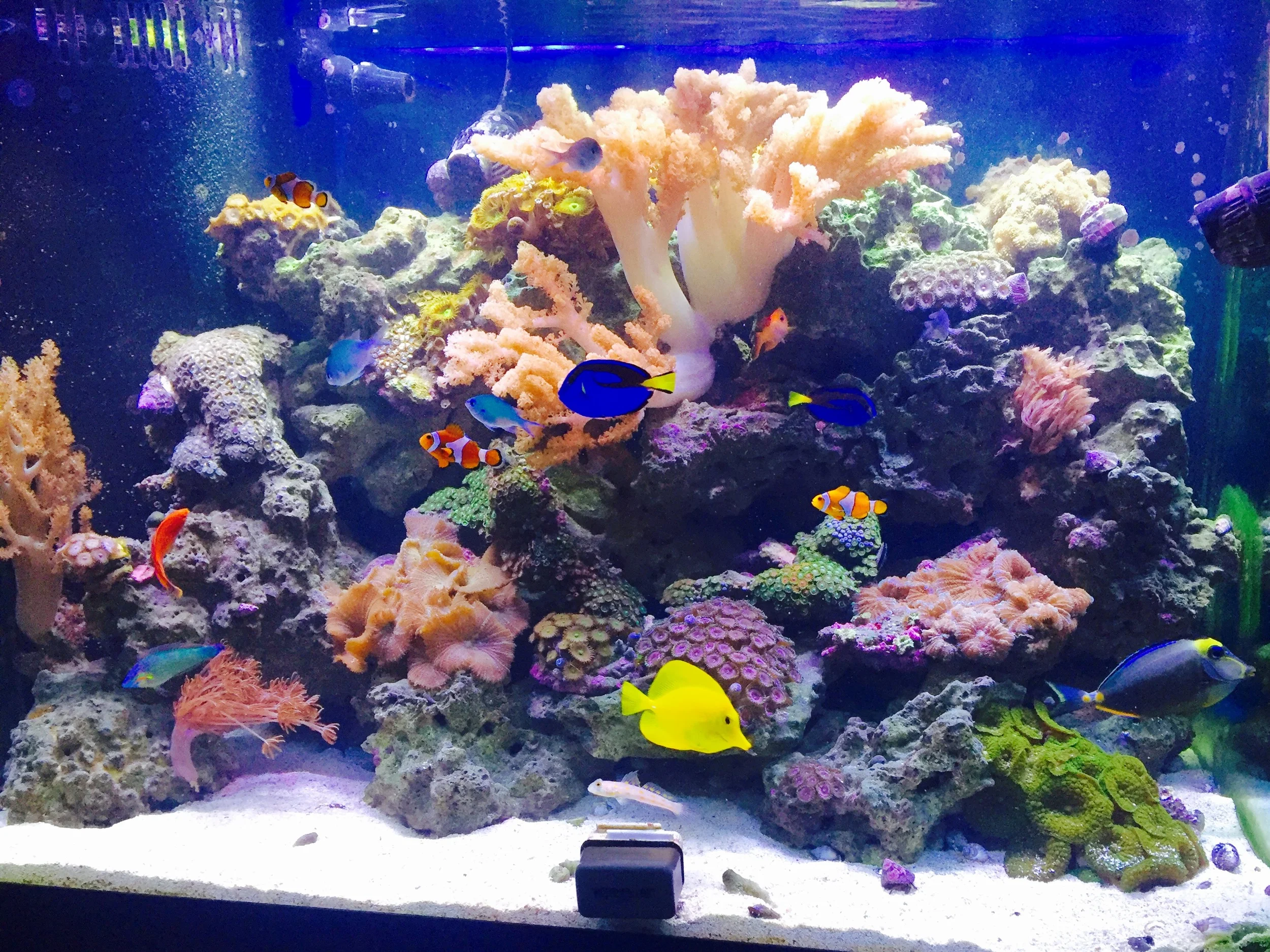 IMG_3201 (Edited).JPG