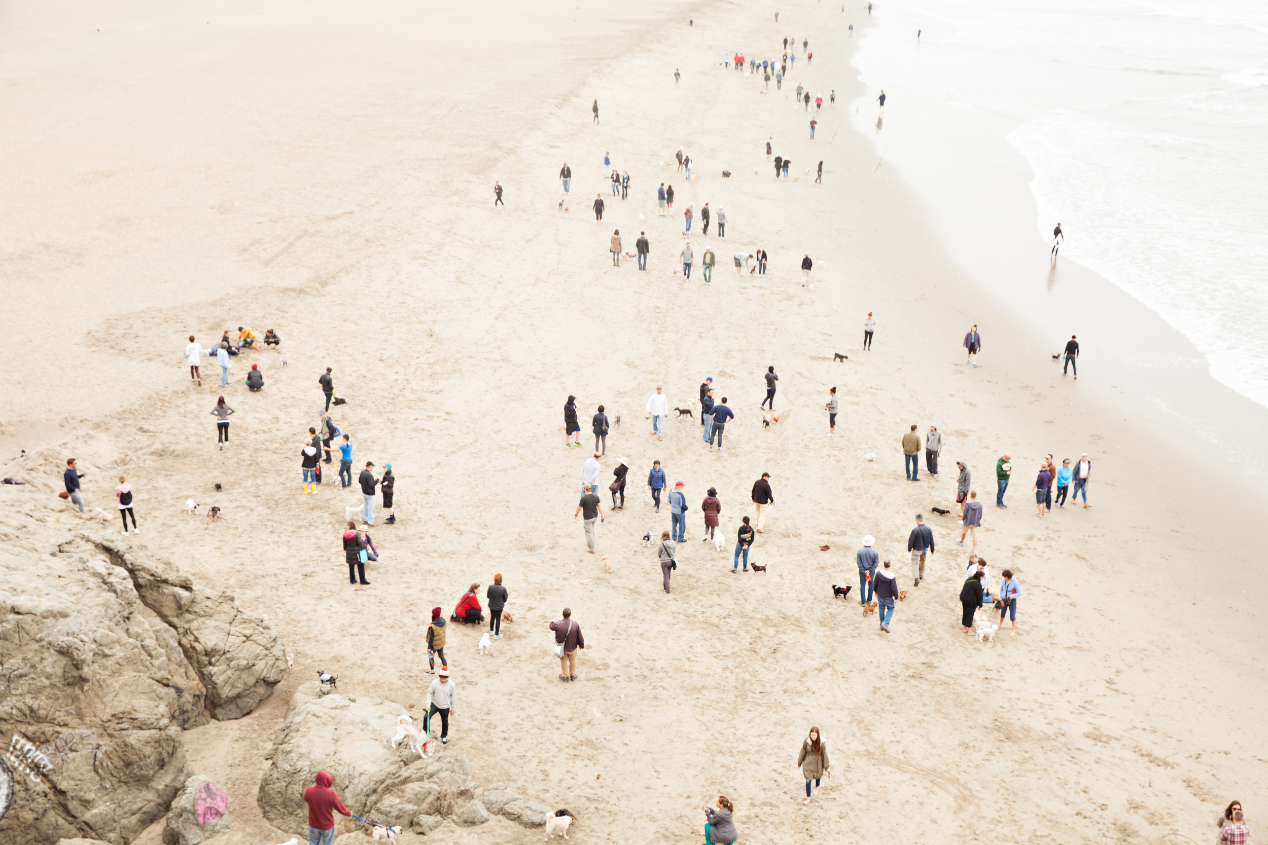 Meet at the Beach, San Fransicso, CA