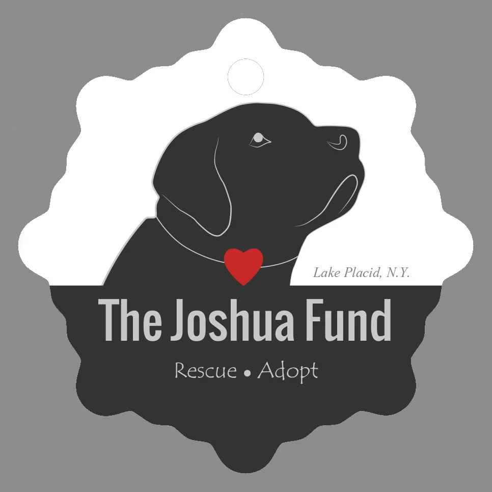 2016 Joshua Fund Ornament-FRONT.jpg