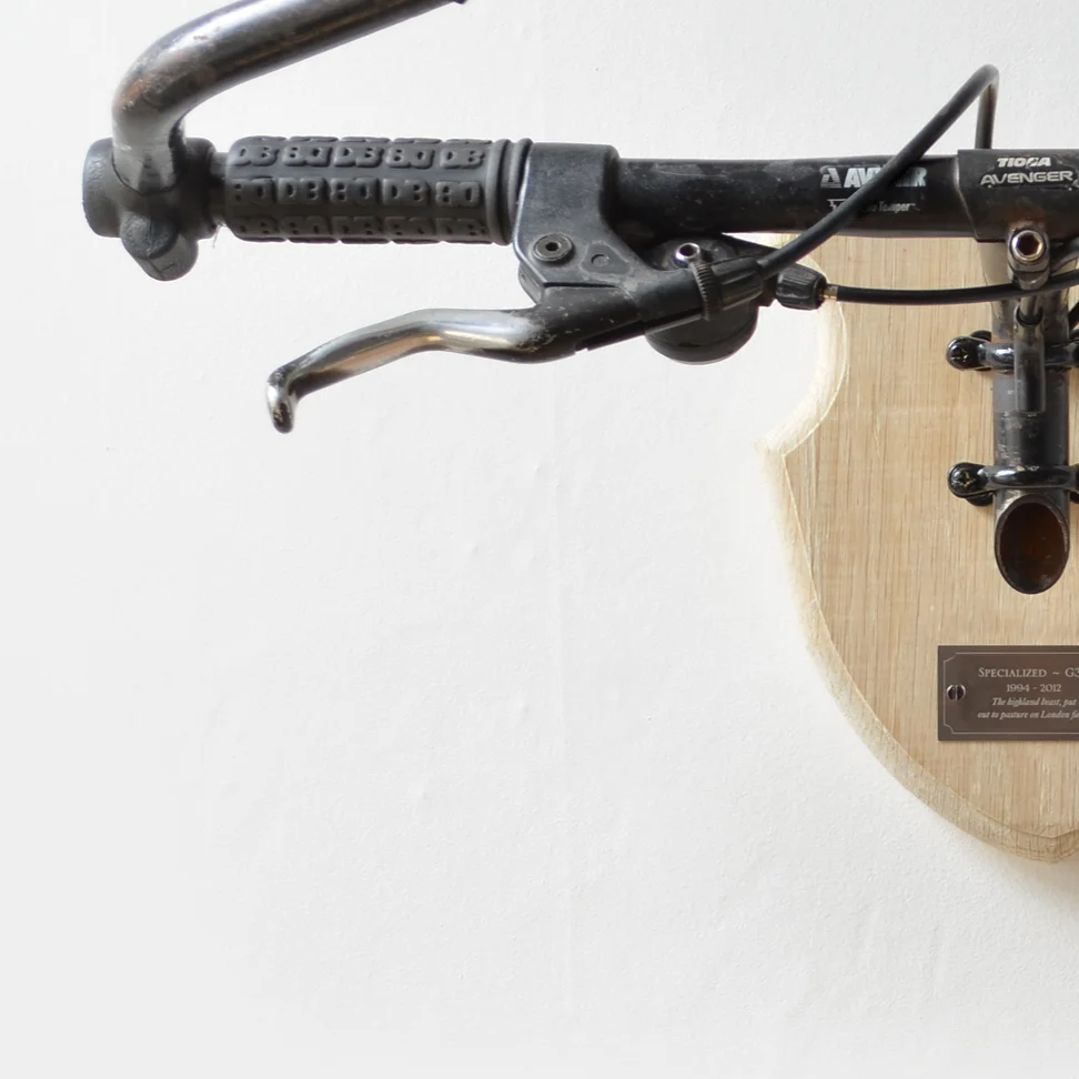 Bicycle Taxidermy