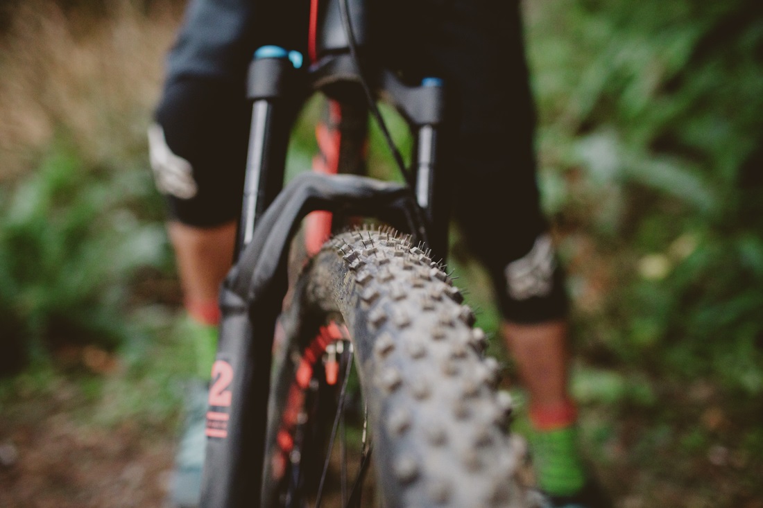 REI Tubeless Bike Tire Conversion — Bella Terra