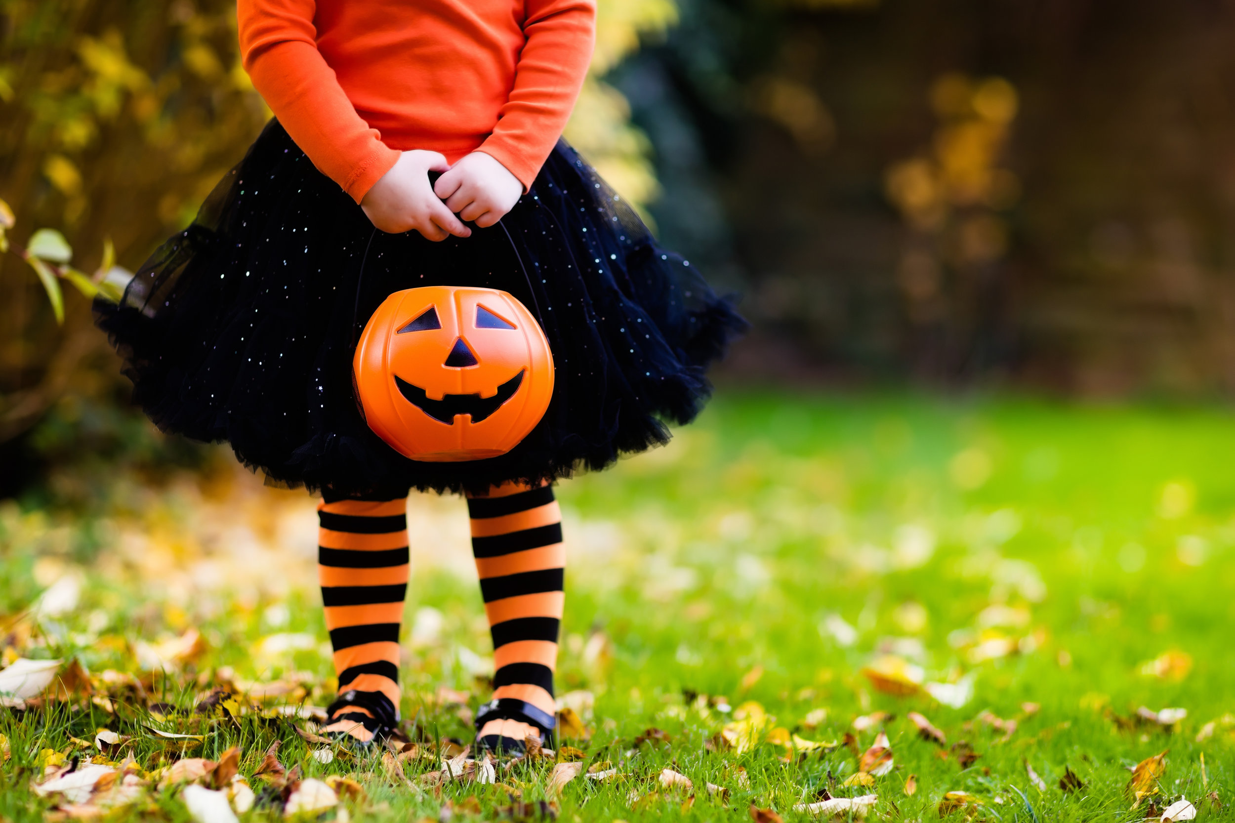 AdobeStock_119089547.jpeg