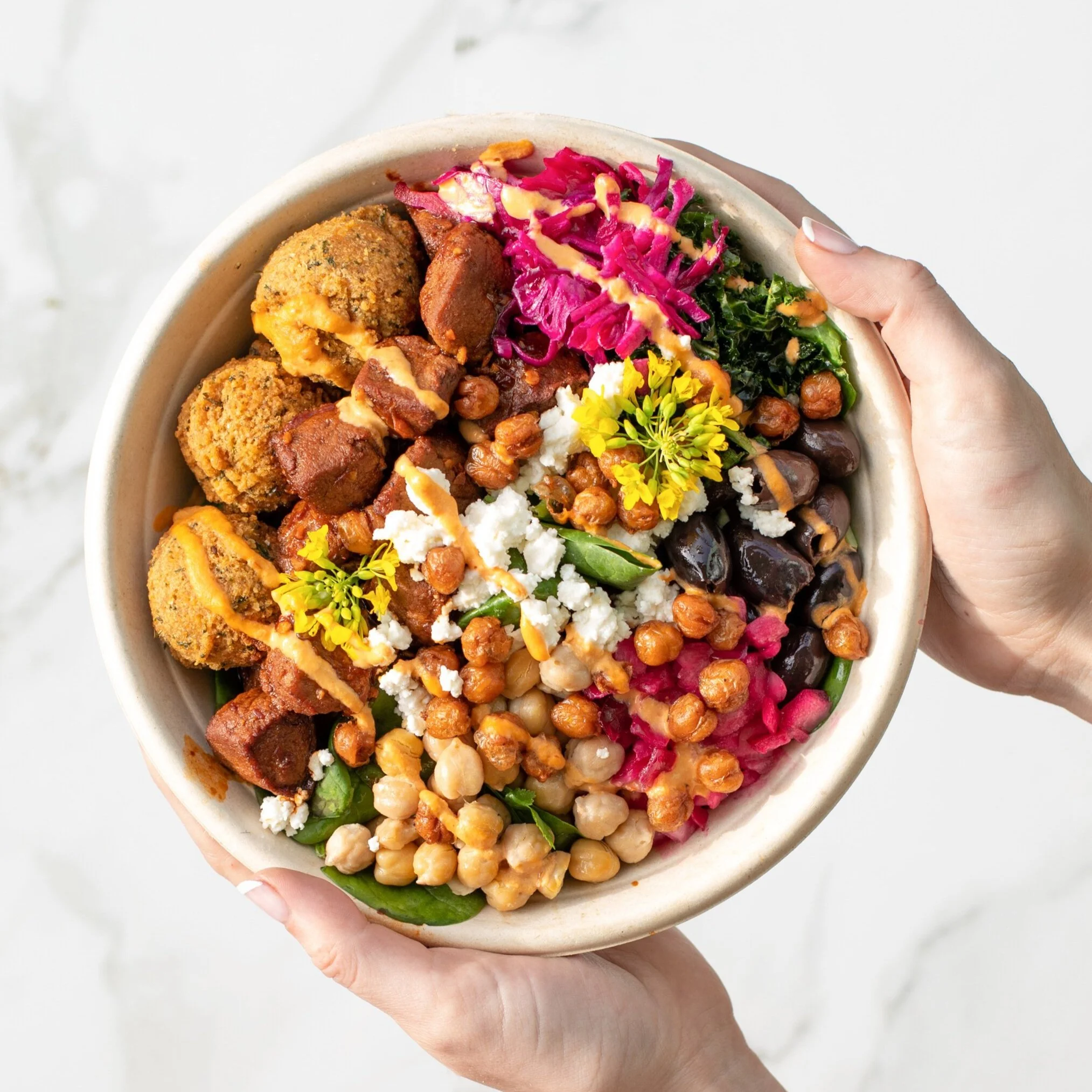 Hummus Republic — Bella Terra