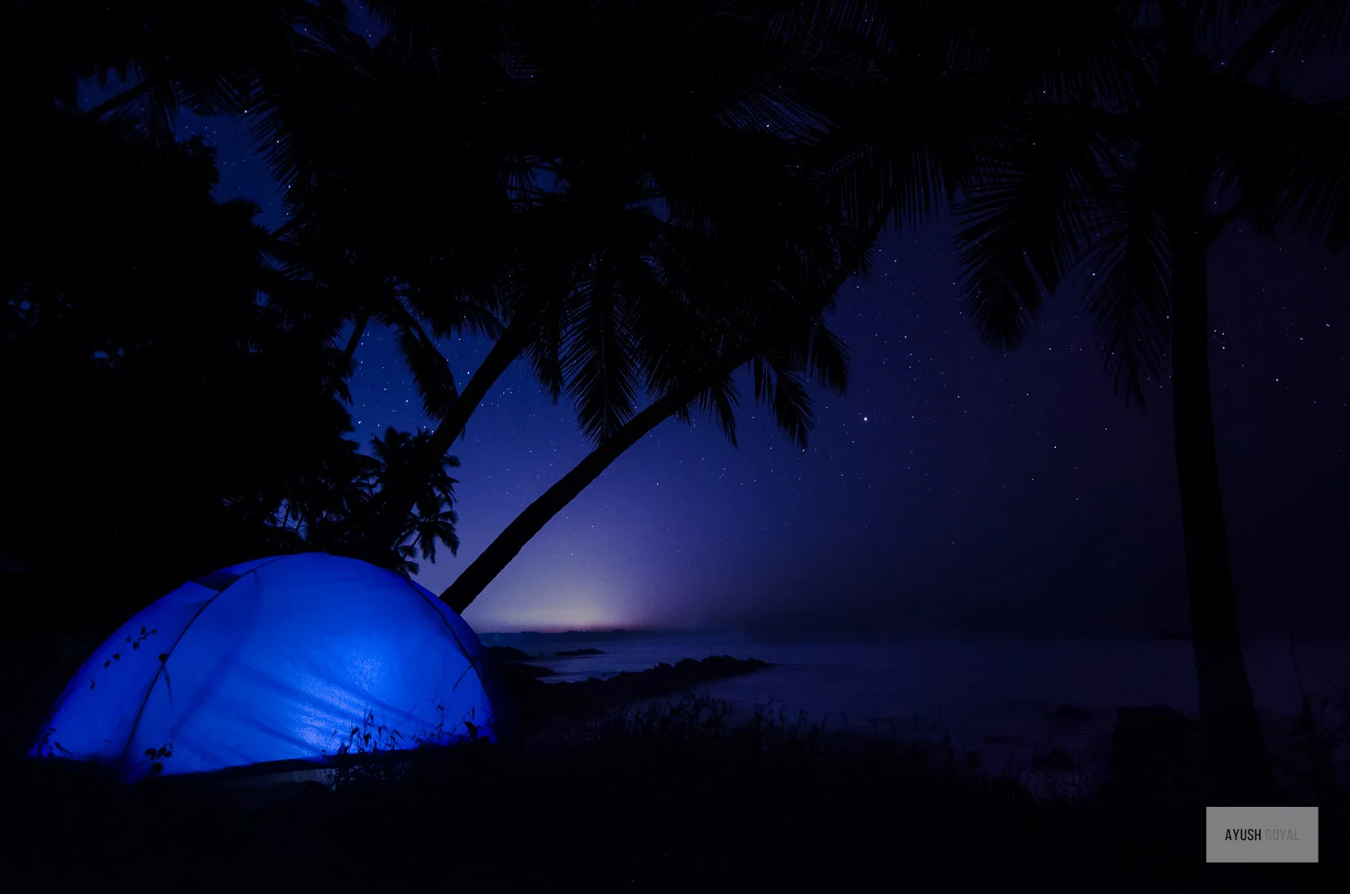kerala-5.jpg