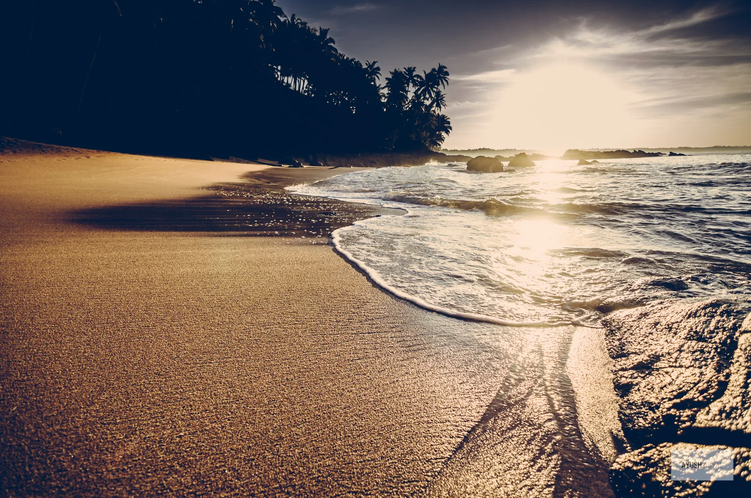 kerala-7.jpg