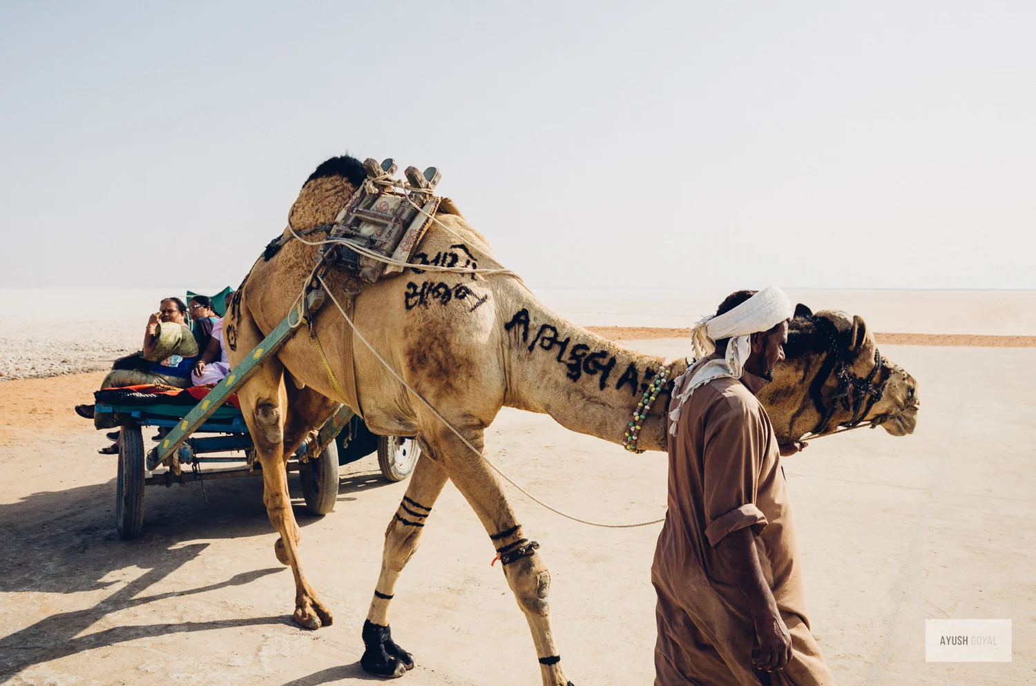 kutch-8.jpg