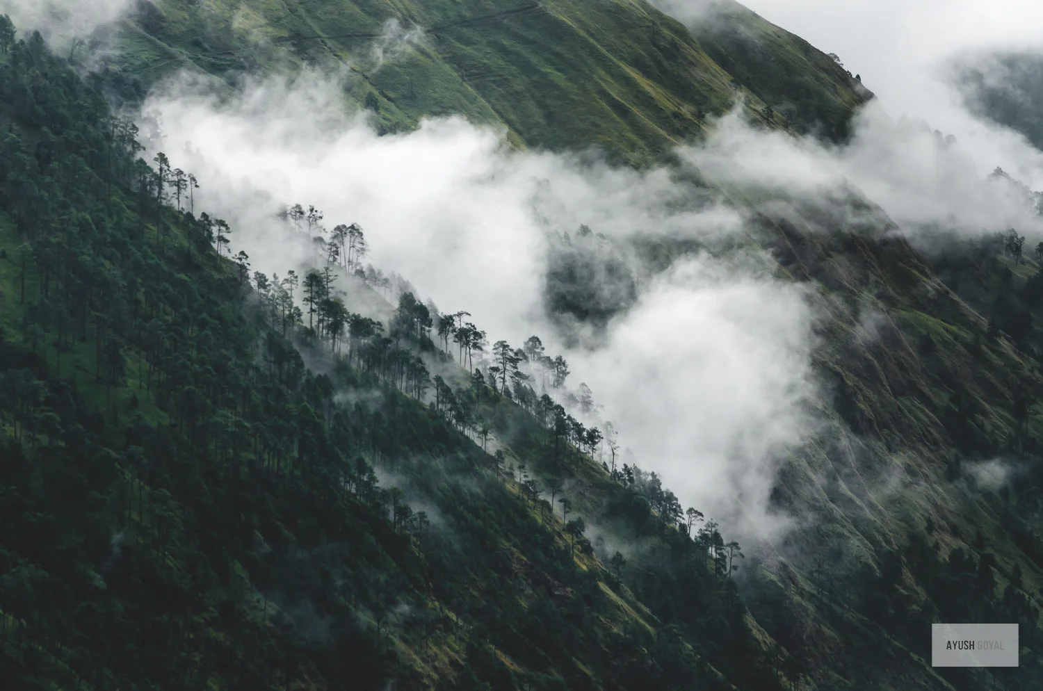 uttrakhand-14.jpg