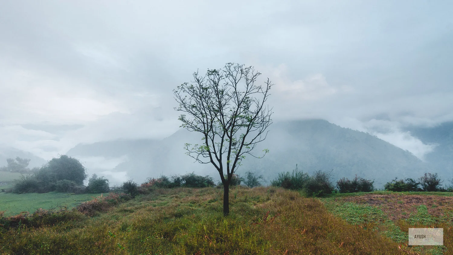 uttrakhand-11.jpg