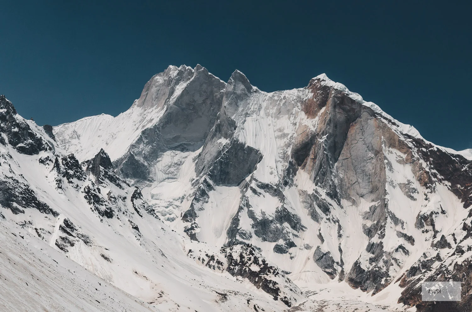 vasukital-20.jpg