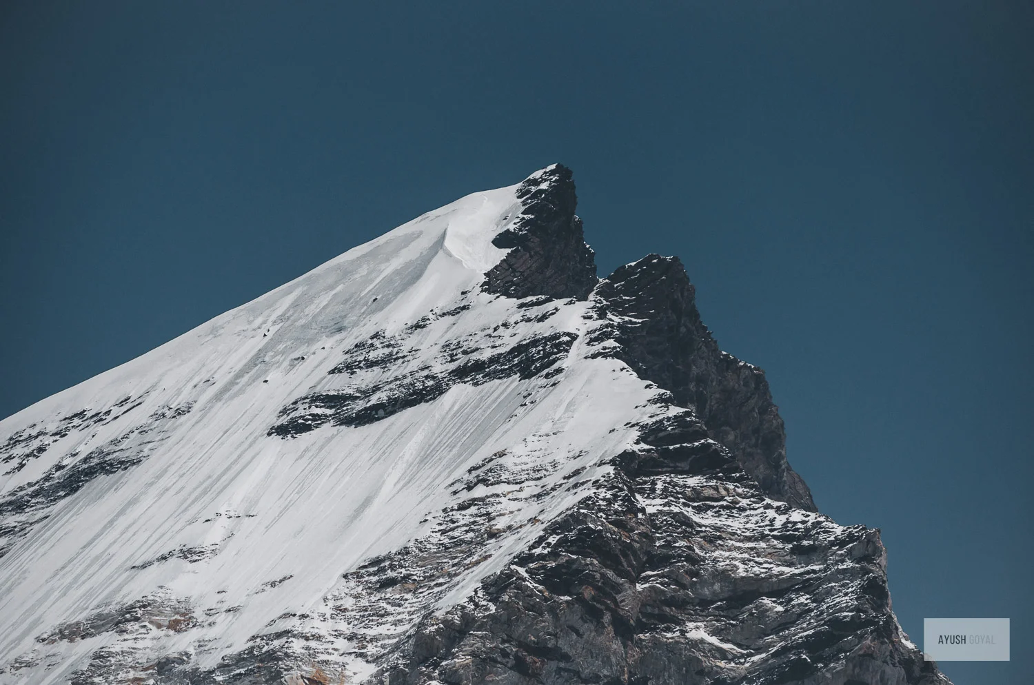 vasukital-25.jpg