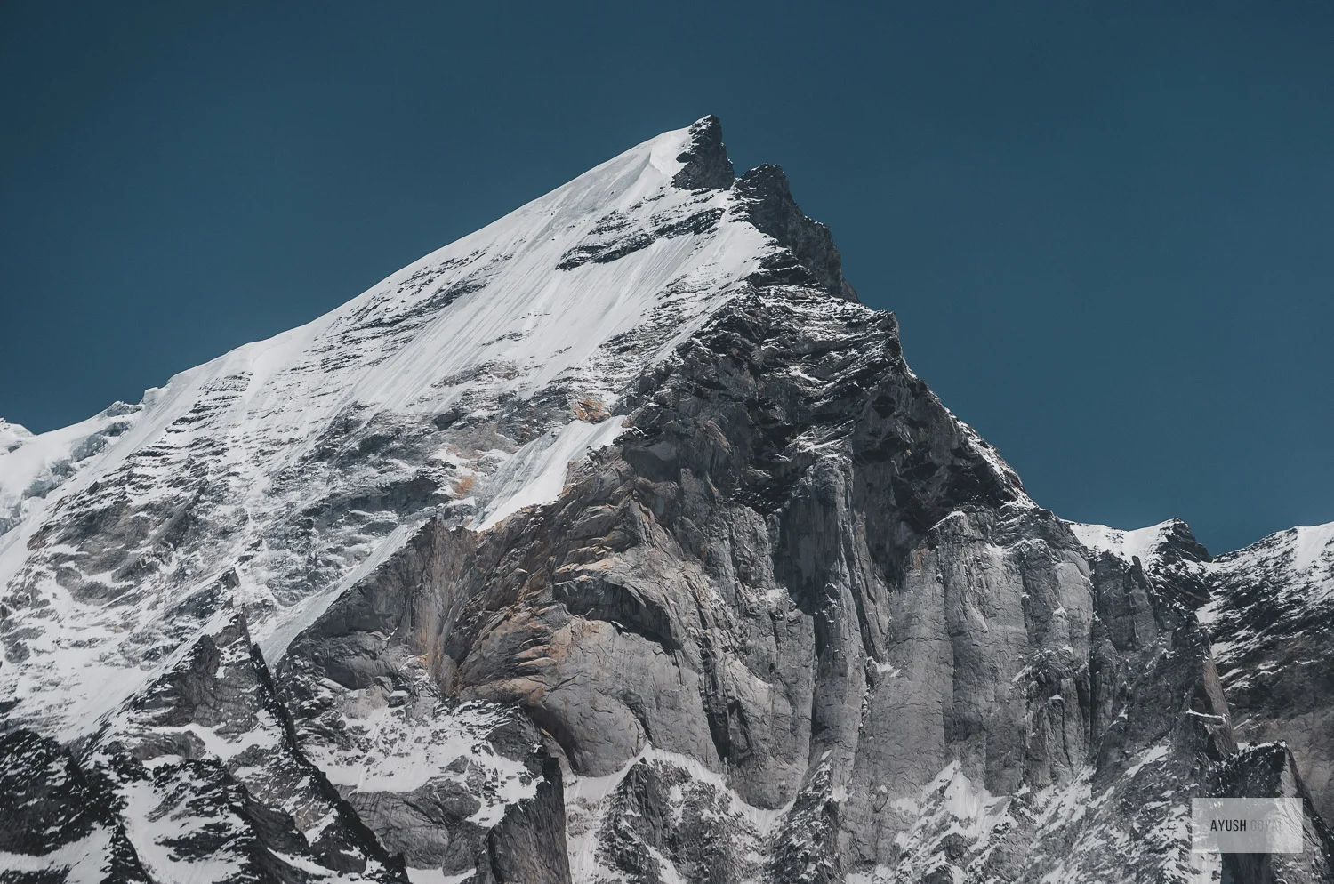 vasukital-27.jpg