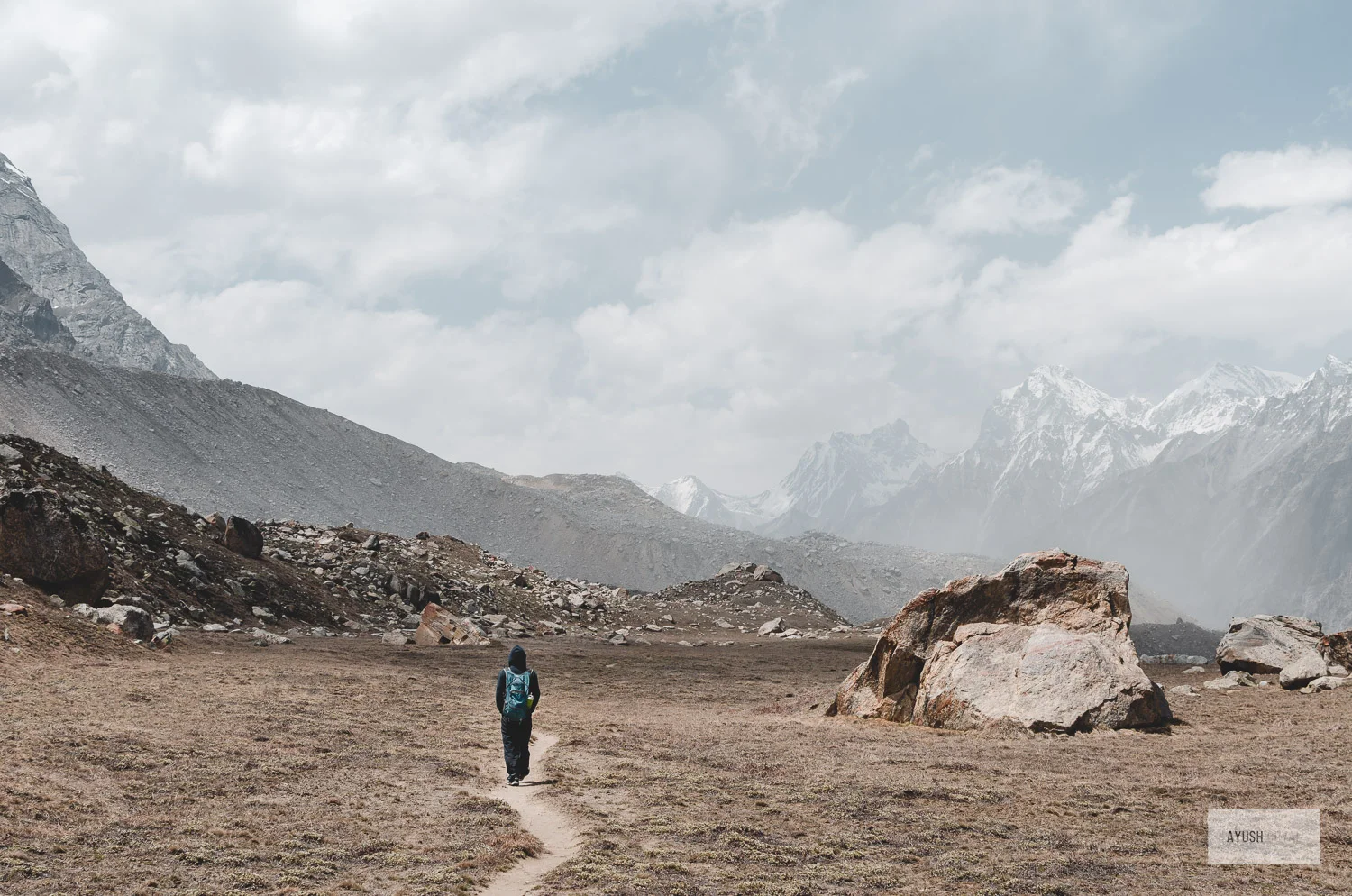 vasukital-30.jpg
