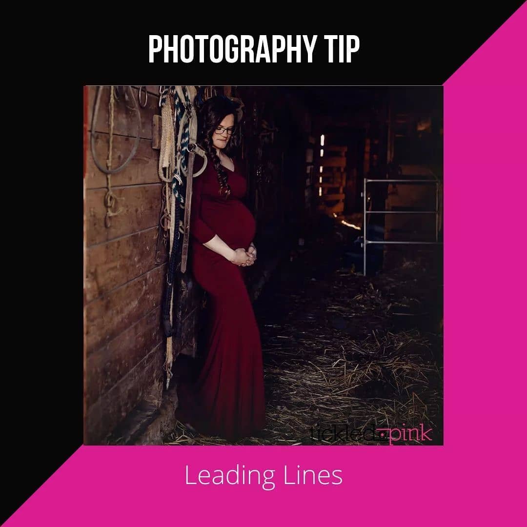 Create eye-catching photos by using leading lines to draw the viewer's eyes to the subject.

Use the scenery around your subject to lead the viewer's eyes toward your subject.

Roads, fences, and rivers are just a few ideas of what can be used as a l