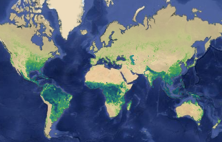 USGS MODIS ETa