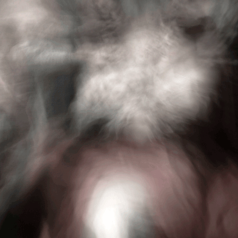 BREATHING IMAGE 5