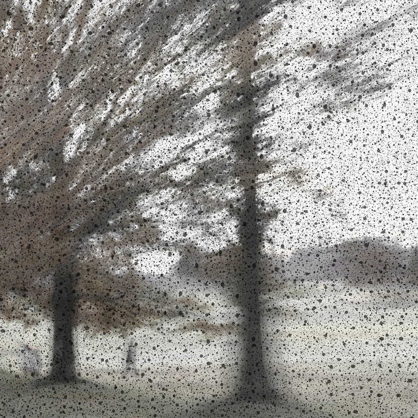 BRADYON 4-PRINT 60X60