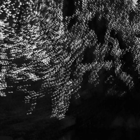 BREATHING IMAGE 2