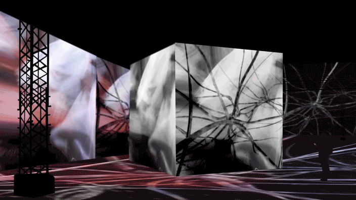 WIMP INSTALLATION 09.gif