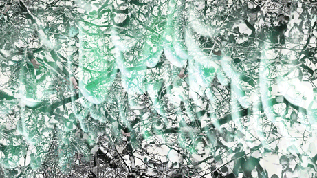 MI 08.gif