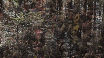 MI 09.gif